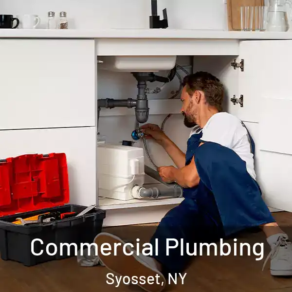  Commercial Plumbing Syosset, NY